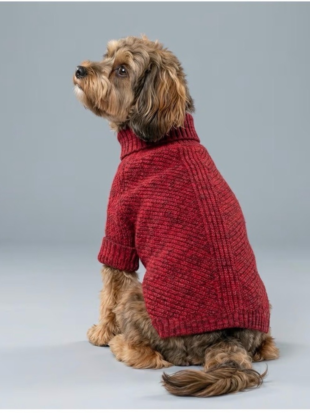 Cozy Red Knit Dog Sweater - Classic Turtleneck -XL